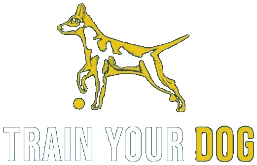 Train your Dog